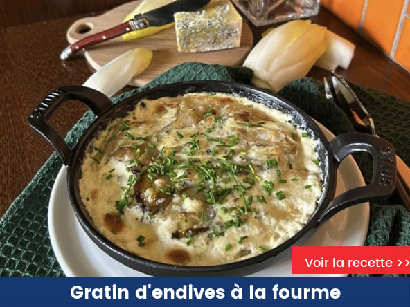 Gratin d’endives à la fourme de Montbrison